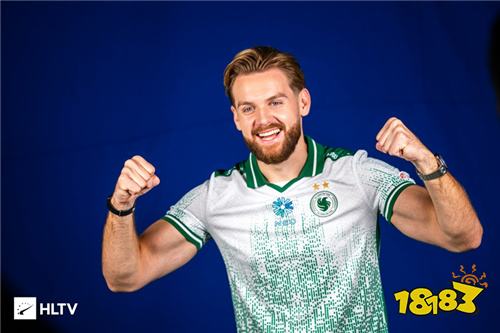 战略选择 战略选择